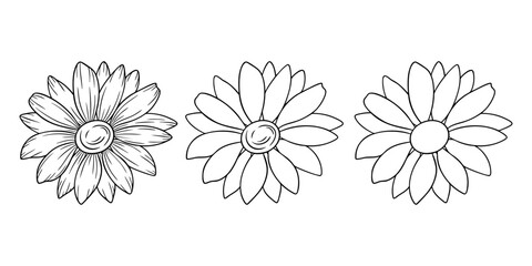 Daisy - April birth month flower, line art vector set in monochrome style. Hand drawn botanical illustration. Floral sketch expressing individuality, minimalism and tattoo design concepts.