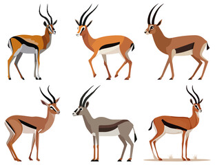 Obraz premium gazelle antelope wildlife animal slender Flat Vector Illustration on Transparent Background