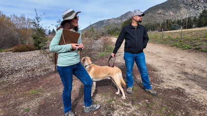 Forestry Biologists Evaluating and Discussing the impact of an invasive species attacking keystone ...