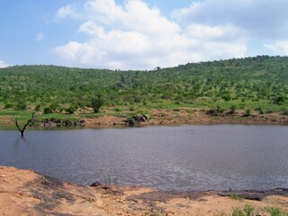 Waterhole with dead tree in African landscape