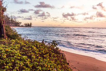 Scenic view of ocean waves washing onto a sandy beach at sunset, with a colorful sky and vegetation in the foreground © Sulbha