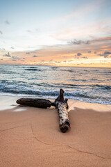 Beautiful beach at colorful sunset by ocean with wood log in the foreground