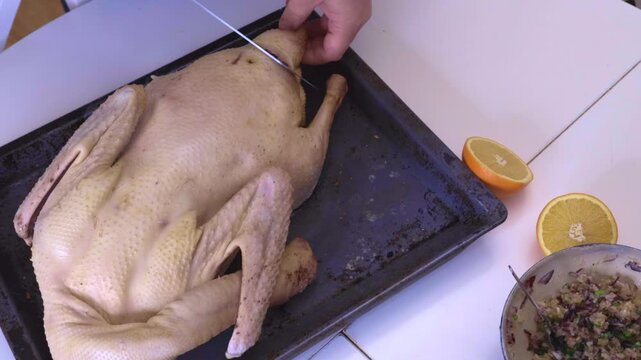 Close-up of hands seasoning and placing a whole raw goose on a baking tray with herbs and oranges, then sliding it into the oven. Traditional festive cooking, holiday meal preparation, home kitchen pr