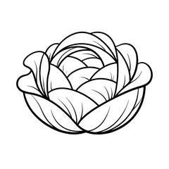 Obraz premium Elegant linear cabbage outline design for nature and gardening themes