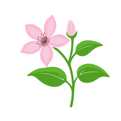 Object pink flower Hand drawn. Not AI, vector illustration