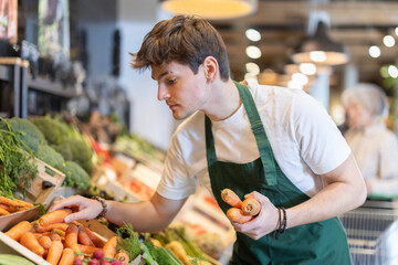 Guy salesperson in apron puts ripe carrot vegetables on display case, makes attractive display of...