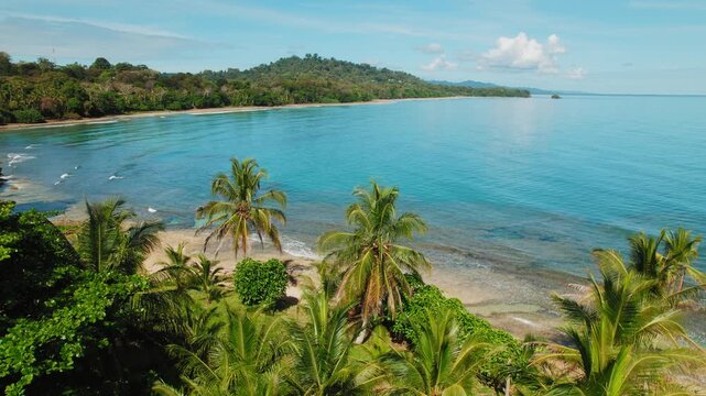 Palm trees above bright turquoise bay with distant hills on a sunny tropical morning