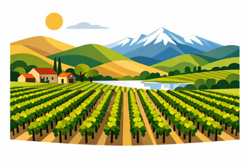 Vector Illustration of Central Chile Vineyards with Geometric Stylized Landscapes on a White Background