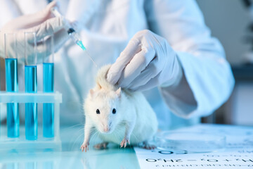 Scientist giving injection to rat at table in laboratory, closeup