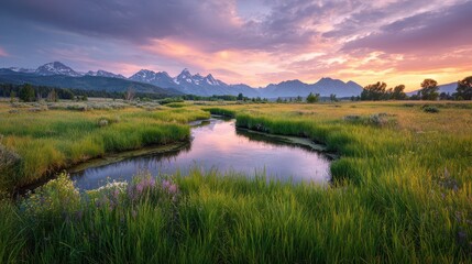 Sunset over a winding stream in a green alpine meadow near Mormon Row, Grand Teton National Park, Wyoming