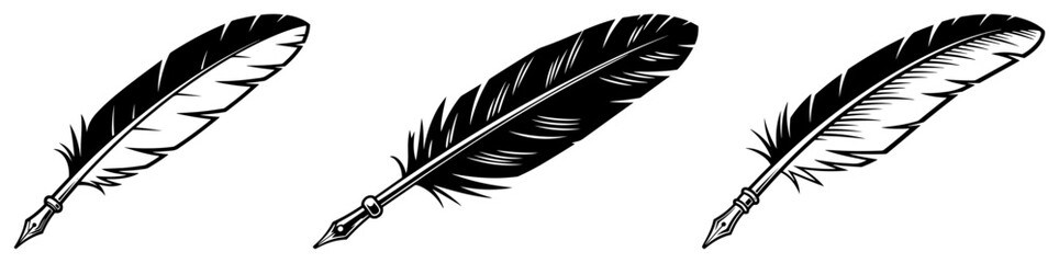 Set of three vintage feather quill pens for calligraphy © Amelia