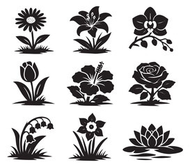 Silhouette floral set featuring popular garden and aquatic flowers for nature designs