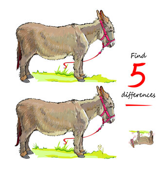 Find 5 differences. Drawing of cute farm donkey from Douarnenez zoo. Logic puzzle game for children and adults. Page for kids brain teaser book. IQ test for smartest. Hand drawn vector illustration.