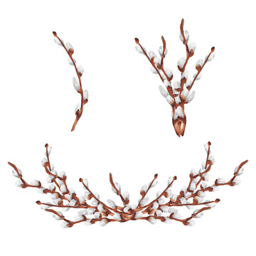 Hand-painted watercolor Easter illustration featuring delicate set of willow catkins pussy willow branches. Soft pastel tones and organic brushstrokes 