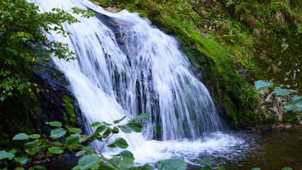 Beautiful waterfall flowing into a small stream and river surrounded by lush green nature. Scenic landscape with fresh water, rocks, and peaceful natural environment.