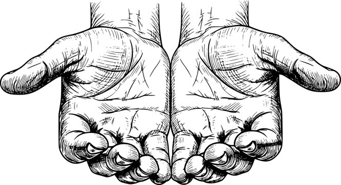 Realistic sketch of two open hands with detailed linework, concept of giving. Vector illustration