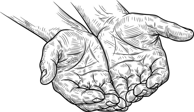 Realistic sketch of two open hands with detailed linework, concept of giving. Vector illustration