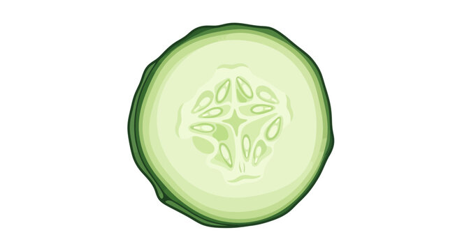A close-up illustration of a single, fresh cucumber slice showing its internal seeds and green rind.