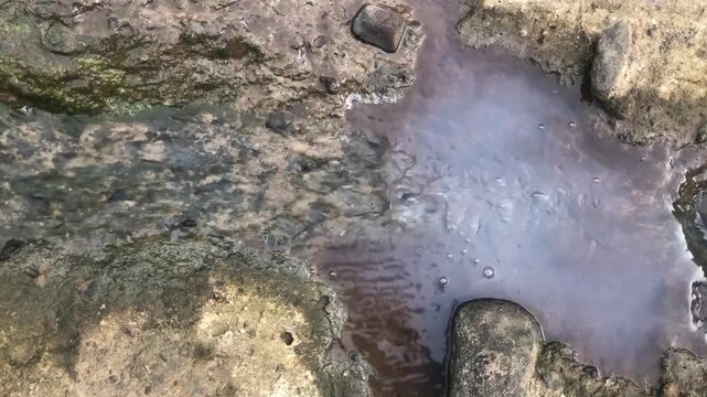 Silty puddle on stone surface showing drainage residue. Murky seepage patch beside rocks with wet sediment pattern. Clouded runoff pool in eroded ground texture background. Dirty water pocket 