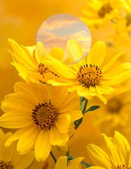 Bright yellow flowers stand out against a yellow background with a sky-filled circle overlay at the top