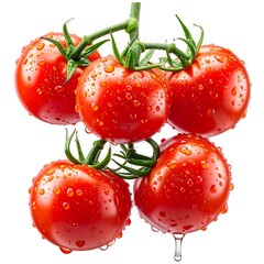 Bunch of fresh red tomatoes covered in water droplets, attached to a green vine, isolated against a white background