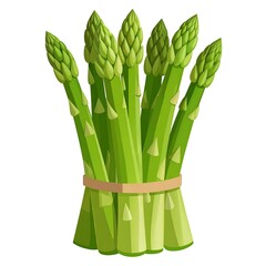 Bundle of bright green asparagus stalks tied together on a white background