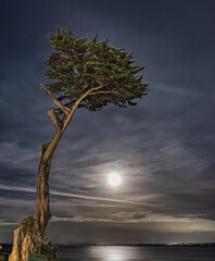 Moonrise over Pacific Grove Lover's Point