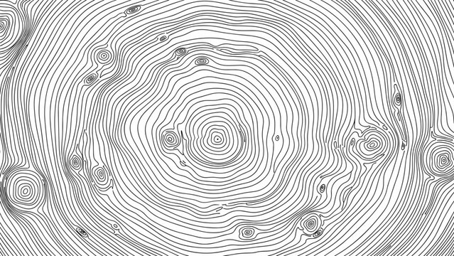 Black and white illustration of a tree ring pattern with detailed lines