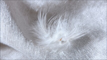 Extremely soft and delicate white downy feather with wispy texture showcased in extreme close-up
