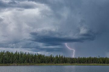 Lightning over a forest