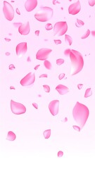 Delicate pink petals falling