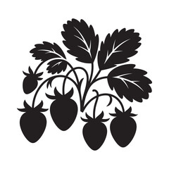 Black and white illustration of a strawberry plant with leaves and fruit © NASRIN