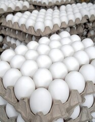 Large number of white eggs in a pyramidal structure on stacked cardboard trays, designed for transport and storage, creating a striking and orderly geometric composition.