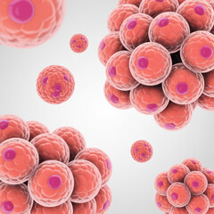 Clusters of pink spherical cells with purple nuclei on a light gray background