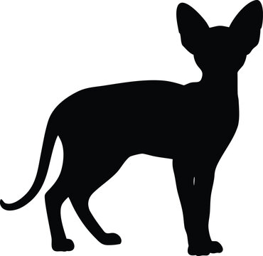 Sphynx Cat Silhouette Standing Alertly Looking Forward with Tail Raised