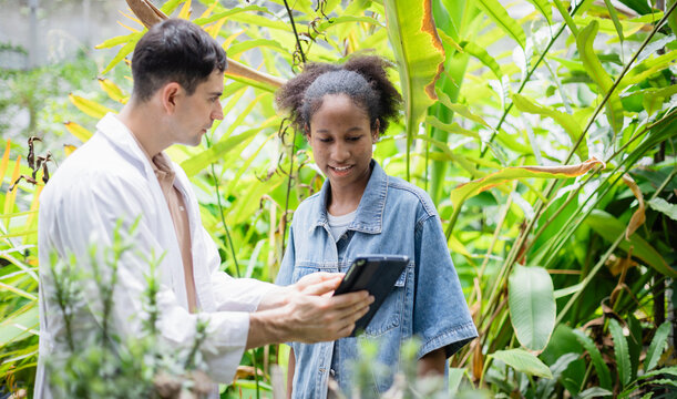 Young agricultural research team of scientist in farm is discussing data on tablet while surrounded by green plants and natural environment with focused expressions