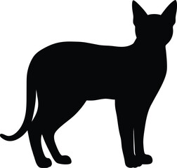 Sleek Black Feline Silhouette Standing Gracefully with Upright Ears and Tail