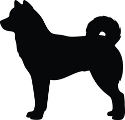 Sleek black dog silhouette in a confident standing profile pose on a clean white background