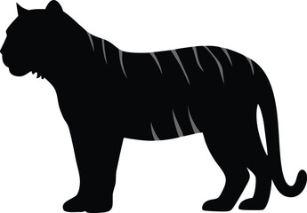 Sleek standing black tiger silhouette displaying its iconic light gray striped fur