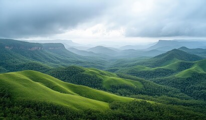 Obraz premium Expansive green rolling hills covered with dense forest under a moody cloudy sky creating a serene and peaceful natural landscape