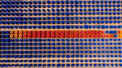 Abstract pattern of blue and orange circular elements arranged in rows and columns