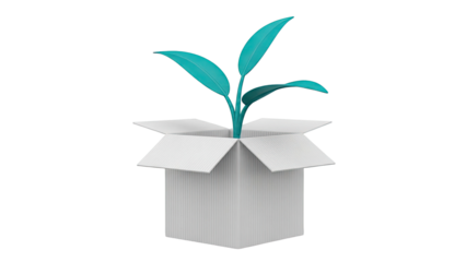 Plant Growing Out of an Open Cardboard Box