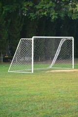 Obraz premium goal of football on green grass background, object of sport