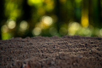 Soil macro with soft bokeh. Soil texture for earthy visuals. Soil surface in forest setting. Soil...