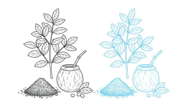 Hand drawn yerba mate tea set with leaves cup and straw outline vector illustration design