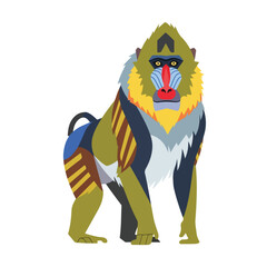 Obraz premium A cute cartoon illustration of a happy wild lion and a funny owl bird character with wings and feathers designed as a vector art drawing