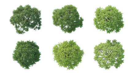 Set of 6 Green Tree Top View Elements Isolated on White