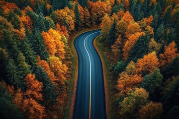 Fototapeta premium aerial view of a winding dark asphalt road cutting through a dense autumn forest of vibrant orange and green trees, evoking peaceful serene solitude