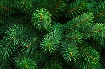 close-up of vibrant green evergreen branches and dense needle clusters conveying fresh, peaceful, lush natural calm