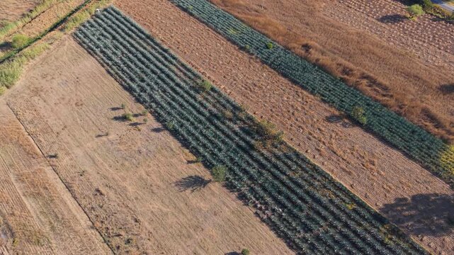 Countryside life in Oaxaca&rsquo;s Central Valleys captured by drone
